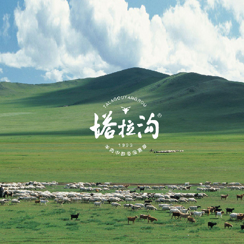 羊肉中的冬虫夏草-塔拉沟